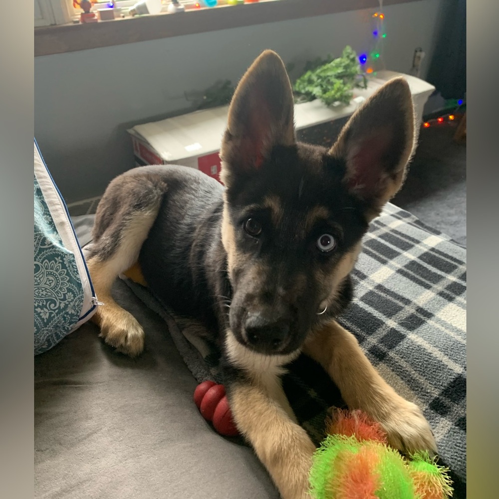 My New Baby! 10 Months Old and boy has she grown!
